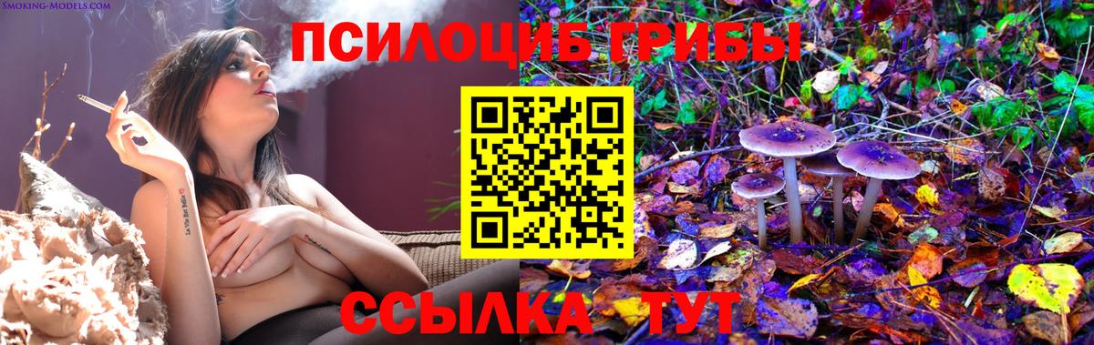 Псилоцибиновые грибы Psilocybine cubensis  Галлюциногенные грибы Psilocybe  Гулькевичи  Вход с VPN 
