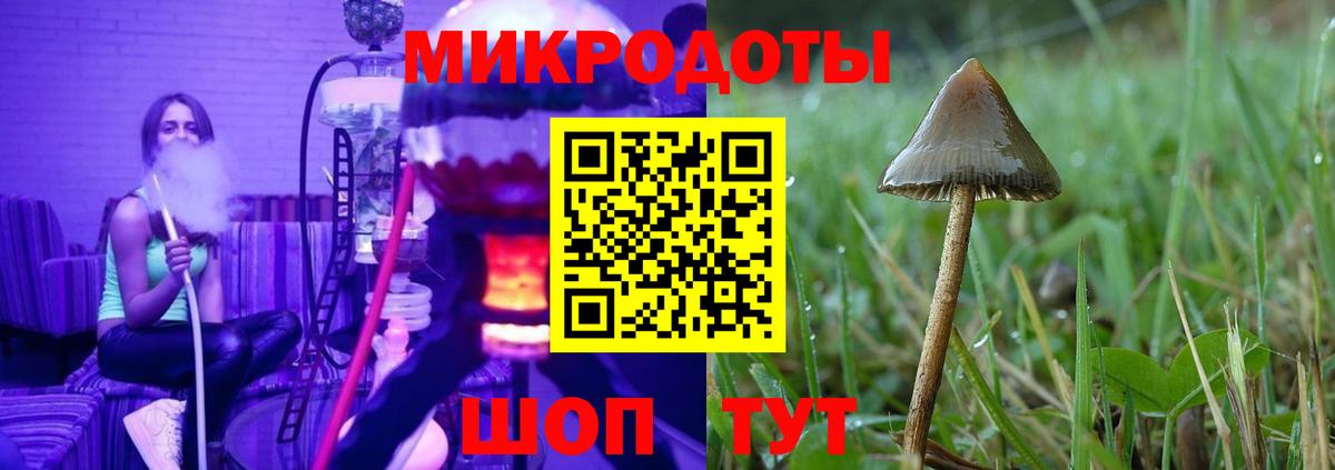 Псилоцибиновые грибы Cubensis Гулькевичи